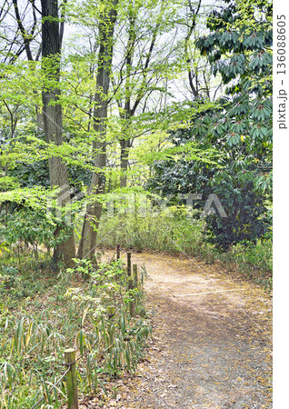 座間谷戸山公園 座間谷戸山公園 136088605
