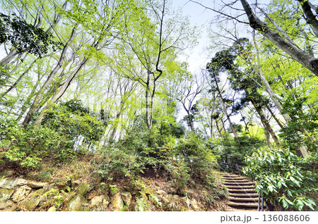 座間谷戸山公園 座間谷戸山公園 136088606