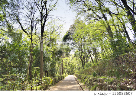 座間谷戸山公園 136088607