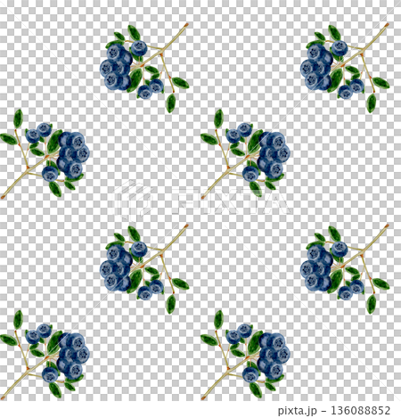 Blueberry watercolor seamless pattern. Hand-drawn blue berry on a white background. Botanical clip art. Perfect for food blog designs, organic store menus, and packaging for products and cosmetics. 136088852