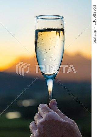 Hand of a man holding a glass of sparkling wine at sunset in the Cape Winelands, South Africa. Celebration and luxury beverage concept for travel. Hand of a man holding a glass of sparkling wine at sunset in the Cape Winelands, South Africa. Celebration and luxury beverage concept for travel. 136088953