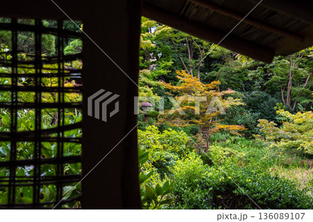 緑に囲まれた庭園・下地窓のイメージ 136089107