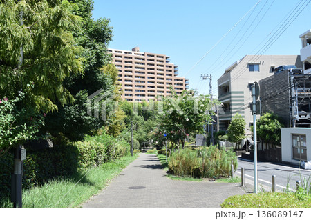 横浜市都筑区 港北ニュータウンの住宅街 横浜市都筑区 港北ニュータウンの住宅街 136089147