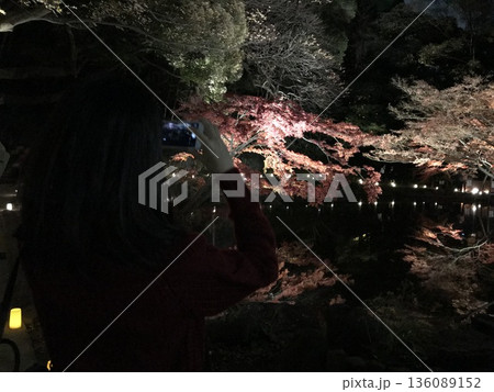 ライトアップされた紅葉 ライトアップされた紅葉 136089152