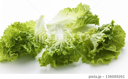 カットされたレタス|白背景の新鮮な葉物野菜素材 カットされたレタス|白背景の新鮮な葉物野菜素材 136089261