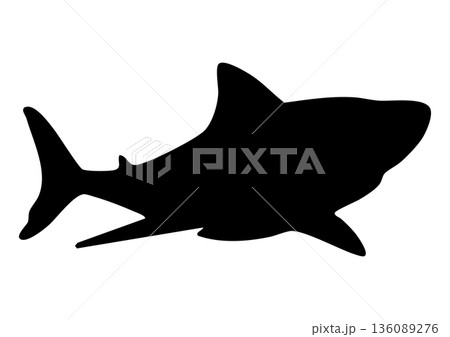 サメのシルエット 136089276