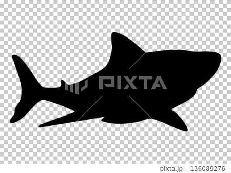 サメのシルエット 136089276