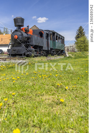 Narrow gauge train engine standing on tracks in springtime Viglas Narrow gauge train engine standing on tracks in springtime Viglas 136089342