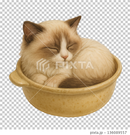 土鍋の中で眠る子猫のイラスト ぬくもりを感じる癒しの姿 土鍋の中で眠る子猫のイラスト ぬくもりを感じる癒しの姿 136089557