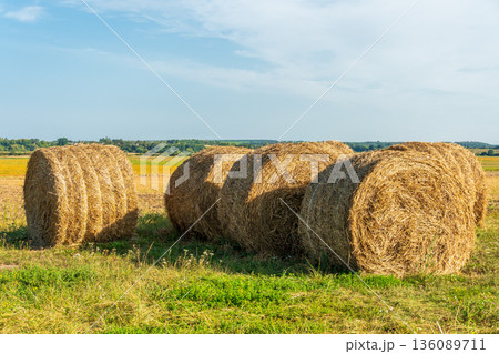 In a peaceful rural setting, golden hay bales rest amidst green grass under a wide blue sky, capturing the essence of a sunny afternoon In a peaceful rural setting, golden hay bales rest amidst green grass under a wide blue sky, capturing the essence of a sunny afternoon 136089711