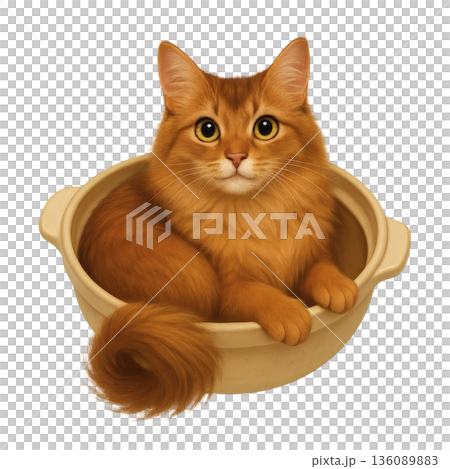 土鍋でくつろぐ猫のイラスト　ぬくもりを感じる落ち着いた表情 136089883