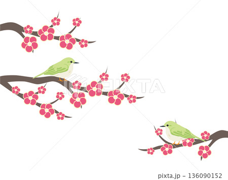 めじろと梅の花 136090152