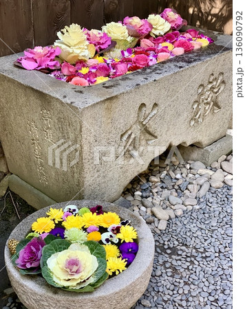 1月の華やかな花手水(葉牡丹・菊・パンジー・薔薇・デンファレ)〈菅生神社/愛知県岡崎市〉 136090792