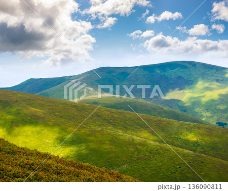 carpathian mountain landscape of ukraine in summer. beautiful travel background with rolling hills. lush green grassy hillside in dappled light. transcarpathia vacation season. narrow telephoto view carpathian mountain landscape of ukraine in summer. beautiful travel background with rolling hills. lush green grassy hillside in dappled light. transcarpathia vacation season. narrow telephoto view 136090811