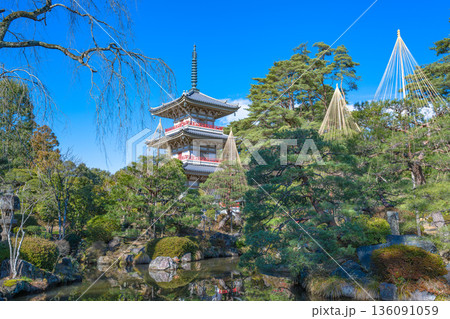 輪王寺 三重塔 冬の庭園に映える青空と塔景 136091059