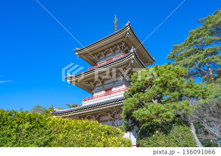 輪王寺三重塔 青空に映える伽藍と松 輪王寺三重塔 青空に映える伽藍と松 136091066