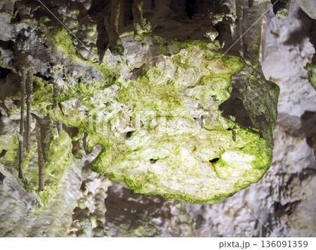 green algae bacteria on stalactites and stalagmites inside karst caves carved out by water 136091359