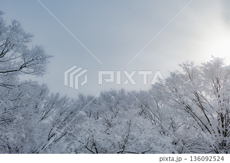 青空と雪化粧した木々:冬の晴れた日の美しい風景 青空と雪化粧した木々:冬の晴れた日の美しい風景 136092524