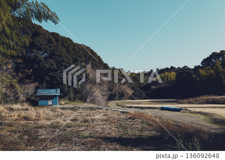 里山のふもとに佇む青いトタン小屋と冬の休耕田の風景 136092648