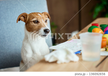 Dog sitting at table with Easter eggs and decorations at home Dog sitting at table with Easter eggs and decorations at home 136092656