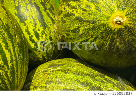 Vibrant Green and Yellow Mottled Piel de Sapo Melons Vibrant Green and Yellow Mottled Piel de Sapo Melons 136092837