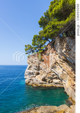 Sunlit coastal cliff with pine trees over turquoise water Sunlit coastal cliff with pine trees over turquoise water 136093098