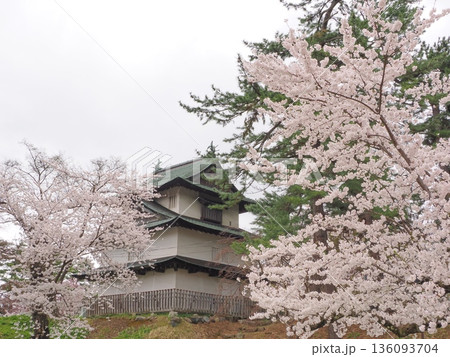 弘前城 天守閣と桜満開｜曇りの日の花見風景 136093704