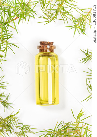 Vertical shot of essential juniper oil in glass bottle surrounded by green juniper leaves Top view 136093715