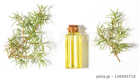 Banner Essential juniper oil bottle surrounded by fresh juniper branches on white Top view 136093718