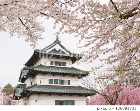 弘前城 天守閣と桜満開|曇りの日の花見風景 弘前城 天守閣と桜満開|曇りの日の花見風景 136093733