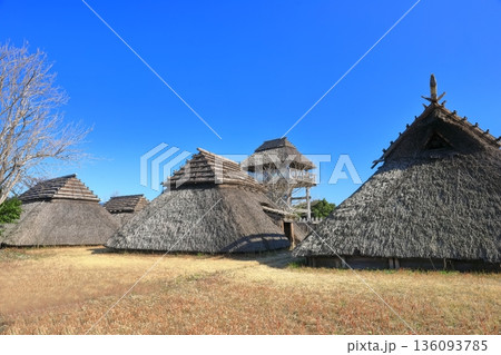 【佐賀県】快晴下の吉野ヶ里歴史公園(南内郭) 【佐賀県】快晴下の吉野ヶ里歴史公園(南内郭) 136093785