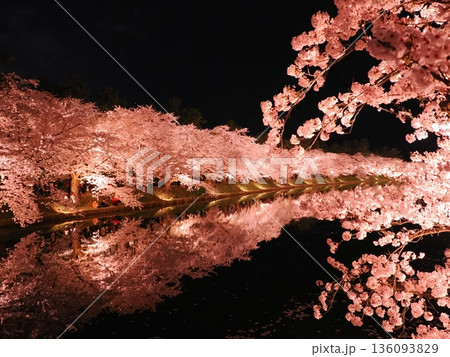 弘前城 春陽橋の夜桜ライトアップ|幻想的な桜の名所 弘前城 春陽橋の夜桜ライトアップ|幻想的な桜の名所 136093829
