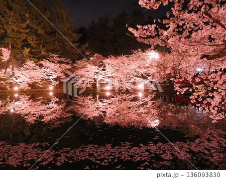 弘前城 春陽橋の夜桜ライトアップ|幻想的な桜の名所 弘前城 春陽橋の夜桜ライトアップ|幻想的な桜の名所 136093830
