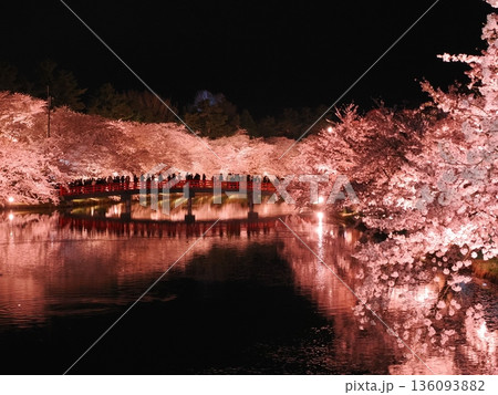 弘前城 春陽橋の夜桜ライトアップ｜幻想的な桜の名所 136093882