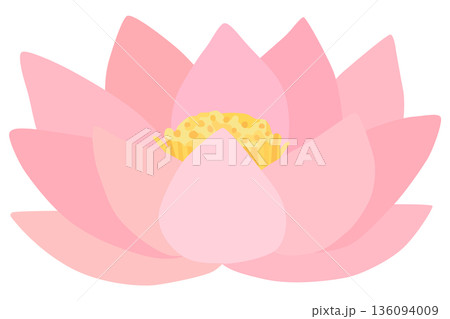 蓮の花のイラスト ベクター素材 136094009