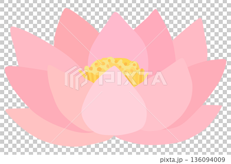 蓮の花のイラスト ベクター素材 136094009