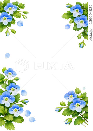 オオイヌノフグリの花を描いた水彩フレーム背景 136094029