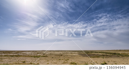 カザフスタン・マンギスタウ州　ウスチュルト台地 /  Ustyurt Plateau 136094945