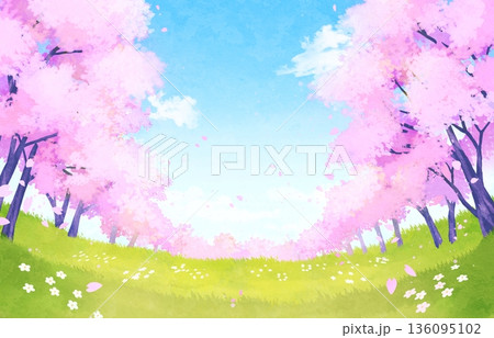桜が咲く野原の背景イラスト 春 桜が咲く野原の背景イラスト 春 136095102