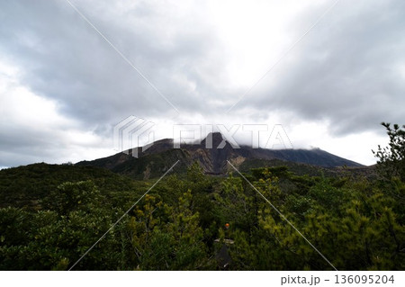 鹿児島・桜島の雄大な風景・緑の森越しに見る活火山の迫力 136095204