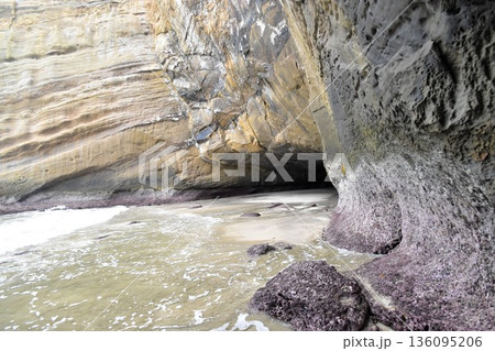 種子島・千座の岩屋・波の侵食が作り出した美しい地層と洞窟 種子島・千座の岩屋・波の侵食が作り出した美しい地層と洞窟 136095206