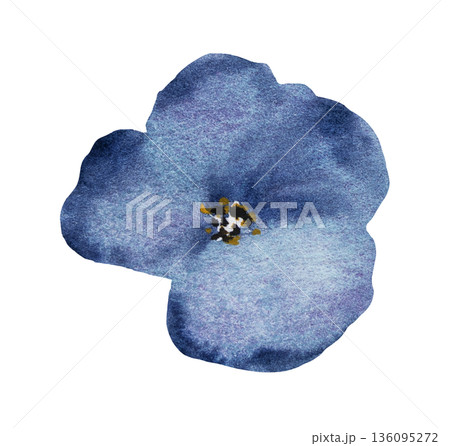 Watercolor dark blue flower, isolated illustration, floral wedding and party stationery element 136095272