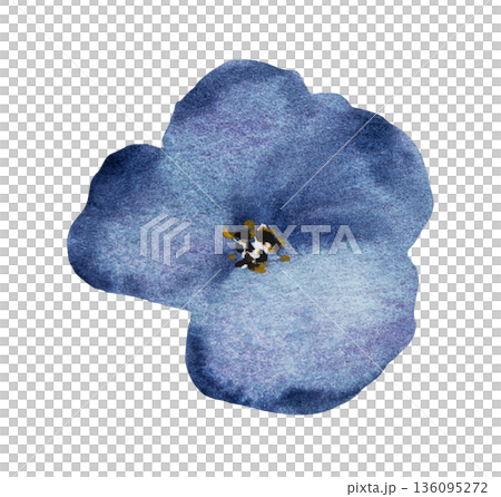 Watercolor dark blue flower, isolated illustration, floral wedding and party stationery element 136095272