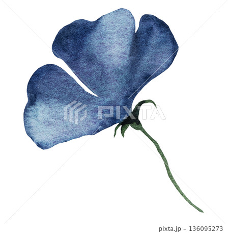 Watercolor dark blue flower, isolated illustration, floral wedding and party stationery element 136095273
