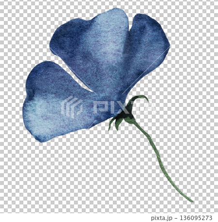 Watercolor dark blue flower, isolated illustration, floral wedding and party stationery element 136095273