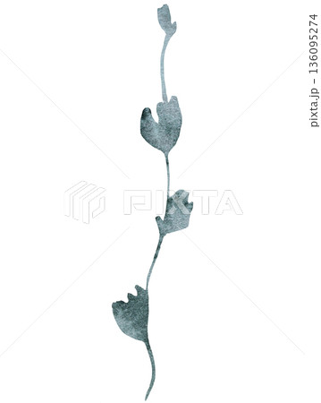 Watercolor winding climbing plant stem with small light green leaves, isolated botanical illustration 136095274