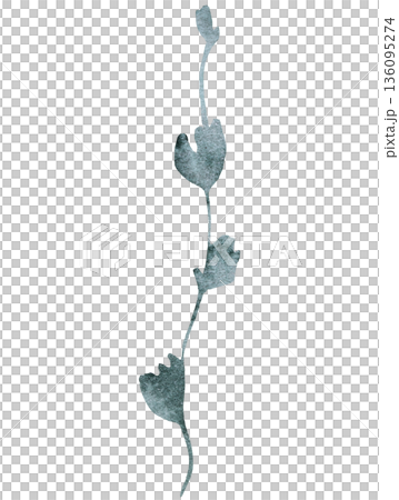 Watercolor winding climbing plant stem with small light green leaves, isolated botanical illustration 136095274