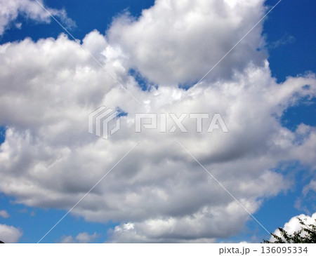 六月の雲-80 136095334