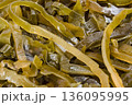 Laminaria (Kelp) close up 136095995