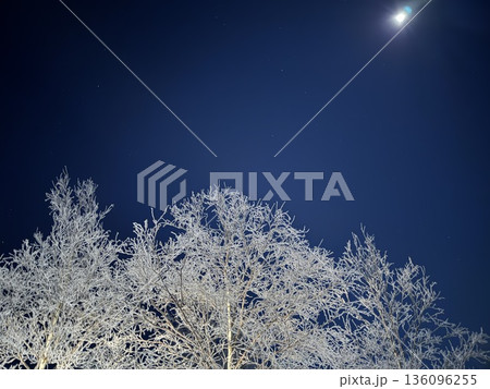 月と夜空と樹氷と 136096255